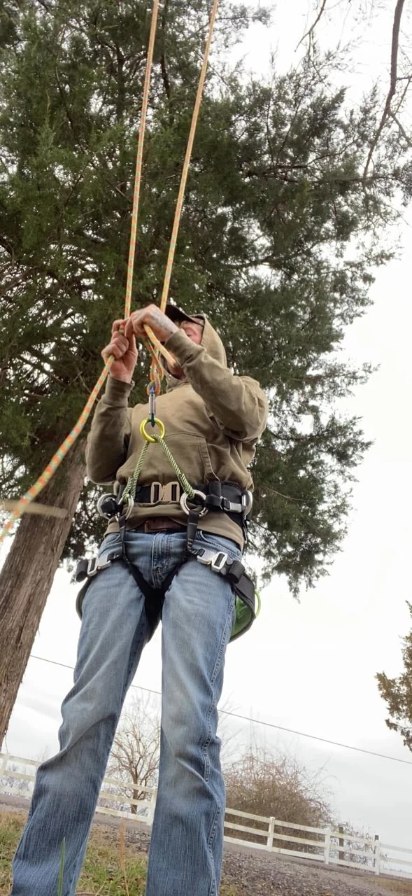 Tree Trimming & Pruning