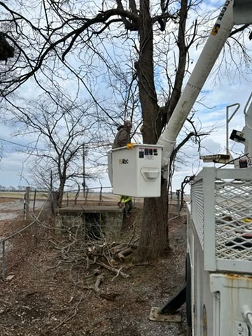 Storm Damage Cleanup